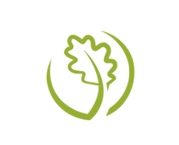 acorn.png